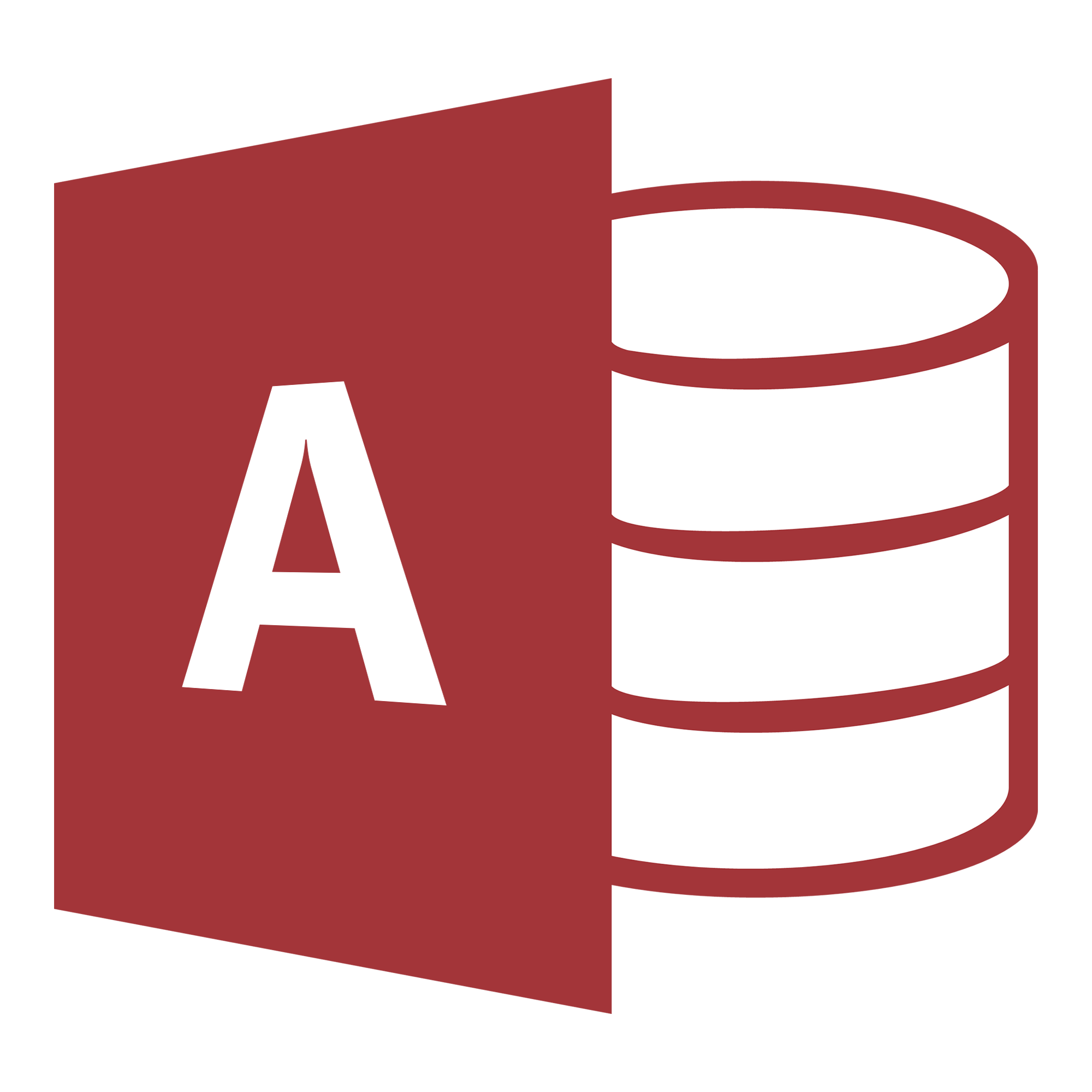 MS Access